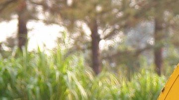 La producción de alimentos como agricultura, ganadería, silvicultura y pesca tienen un riesgo menor de sufrir recortes.