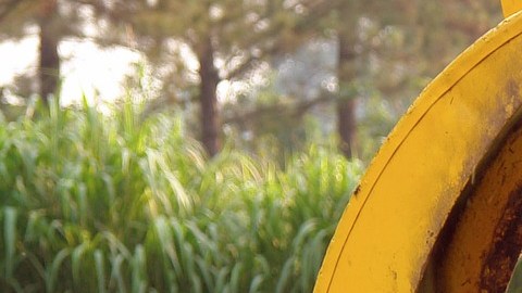 La producción de alimentos como agricultura, ganadería, silvicultura y pesca tienen un riesgo menor de sufrir recortes.