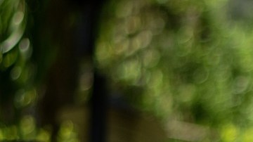 Si te sientes muy agobiado, busca la oportunidad de pasar un tiempo en un sitio diferente para absorber otro tipo de energía y relajar tu cuerpo de tanta carga emocional.