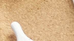 El Internet de alta velocidad ha brindado oportunidades para que los maestros trabajen con estudiantes de todo el mundo.