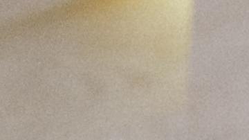 Según The Wall Street Journal, Instagram está ofreciendo cientos de miles de dólares por tratar de persuadir a los creadores de contenido de TikTok.