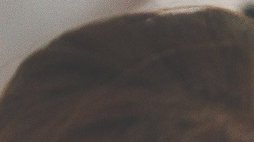 Además de LinkedIn e Indeed, hay otras tantas páginas web donde se ofertan miles de vacantes diariamente.