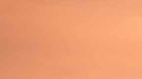 California sigue siendo uno de los estados con las rentas más caras para vivir, incluso con el COVID-19.