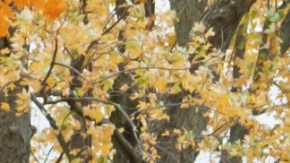 Una casa tiene su propio valor, pero dependiendo de la tasa hipotecaria, podría elevarse a niveles insostenibles para quien la compra.