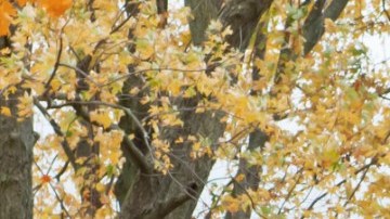 Una casa tiene su propio valor, pero dependiendo de la tasa hipotecaria, podría elevarse a niveles insostenibles para quien la compra.