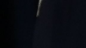 El posicionamiento del presidente ha sido muy criticado por sus opositores.