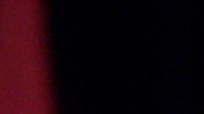 Los activos de la pareja incluyen casas en Los Ángeles, Washington, D.C. y San Francisco.