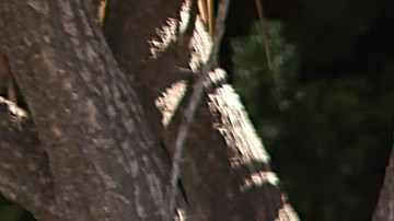 La Ley HEALS no considera una extensión a la moratoria de desalojo.