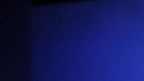 Un Mustang GT 2008 puede ser una opción entre los seminuevos del ‘Pony Car’.