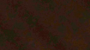 En el mundo de las inversiones, las emociones pueden hacerte tomar malas decisiones.