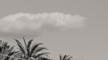 En varios estados se han realizado manifestaciones de inquilinos para evitar los millones de desalojos en el país mientras dure la pandemia de coronavirus.