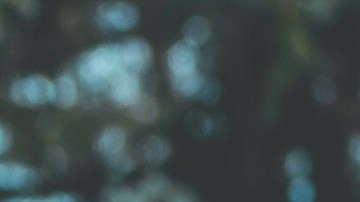 Las declaraciones de impuestos por pareja también pueden ayudarte a obtener un mayor beneficio del Seguro Social para ambos.