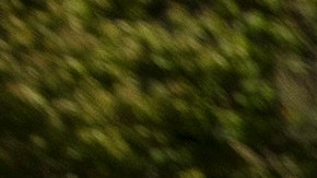 A man tapes signs to his car before participating in a caravan rally down the Las Vegas Strip in support of extending the $600 unemployment benefit, August 6, 2020 in Las Vegas, Nevada. (Photo by Bridget BENNETT / AFP) (Photo by BRIDGET BENNETT/AFP via Getty Images)