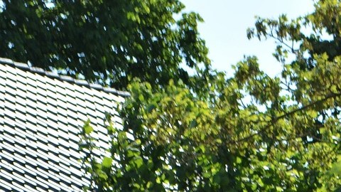 Un granjero o gerente agrícola también es un gran trabajo con perfil salarial idóneo y sin diploma de universidad. El salario promedio anual de esta posición es de $69,300 dólares.
