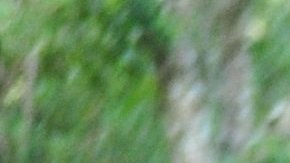 Se estima que el costo anual promedio en este servicio es de $1,758 dólares.