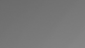 Para la industria hipotecaría este momento solo ha dado buenos dividendos y un gran número de contrataciones desde marzo a la fecha.