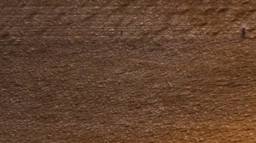 Es posible que se retrase el lanzamiento del iPhone 12, pero aún existen buenas opciones para ti.