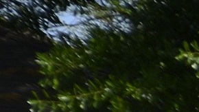 Según la Oficina de Estadísticas Laborales, la mayoría de los trabajadores postales son empleados de tiempo completo del gobierno federal con salario medio de $52,060 dólares anuales.