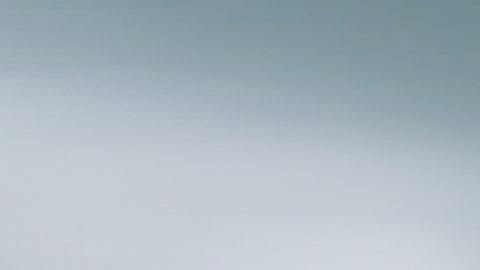 Las aseguradoras de auto ofrecen gran variedad de alternativas.