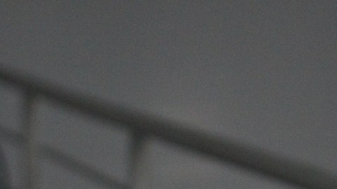 La carrera de Técnico Biólogo tiene un salario anual promedio que no compensa el pago de más de $161,696 dólares durante la universidad.