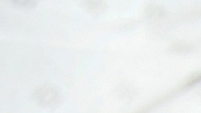 La aventura comercial en Internet es tan extensa que hay distintas opciones que podrían interesarte ahora mismo.