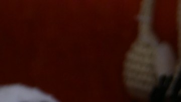 Es momento de que saques provecho y pongas tus trabajos en páginas especializadas para este tipo de ventas.