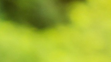 A pesar de la pandemia de COVID-19, puedes tener excelentes opciones para ahorrar tu dinero con buenos rendimientos.