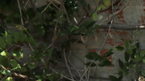 Perder a tu pareja de siempre puede ser complicado, pero sus años de esfuerzo, trabajo y cariño pueden seguir rindiendo frutos con su Seguro Social.