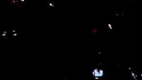 Dollar Tree ofrece amplia variedad en productos de esta gama.