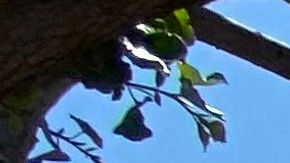 People wait in line to enter The Home Depot in Marina Del Rey, California on May 22, 2020, amid the novel coronavirus pandemic. (Photo by Chris DELMAS / AFP) (Photo by CHRIS DELMAS/AFP via Getty Images)