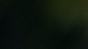 NEW YORK, NY - NOVEMBER 27: Parade volunteers work on Macys balloons during the inflation process on November 27, 2019 in New York City. Winds could ground the giant balloons, according to city regulations, giant balloons cannot fly with gusts winds above 34 m.p.h. (Photo by Eduardo Munoz Alvarez/Getty Images)