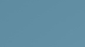 Por lo general los reclutadores no leen todos los currículums que les llegan, así que debes usar palabras clave para que tengas un valor agregado.