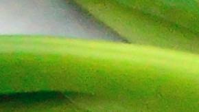 Este segmento duplicó sus ventas a raíz de la pandemia.