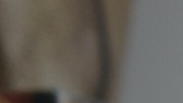 La clave para una buena propuesta es tener un diseño atractivo con información gráfica de calidad.