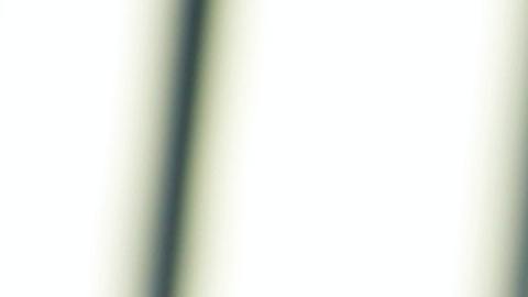 Ve directo a la oficina reguladora de bienes raíces de tu Estado para que conozcas los requisitos para tener tu licencia.