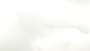 Un accidente automovilístico puede ser un hecho traumático que no se aminora con las reclamaciones al seguro.