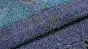 Puedes tirar tu dinero a la basura al comprar un vehículo si no contratas un seguro de automóvil.