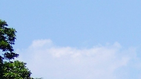 Desde la Casa Blanca, el presidente Donald Trump envió una propuesta que espera el Congreso la alege