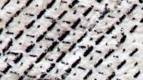 Dólar digital en la mira del gobierno estadounidense como una buena opción