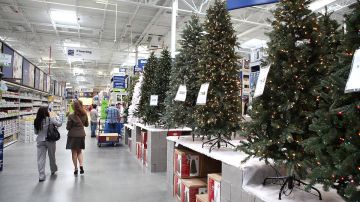 A partir del 30 de octubre los clientes podrán hacer sus pedidos de árboles de navidad.