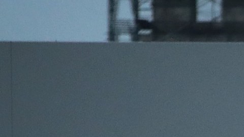 Costco ha tenido éxito como intermediario en la venta de vehículos.