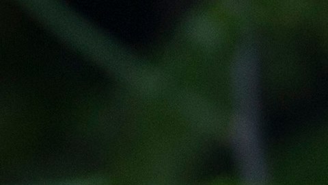 Se han enviado cartas invitando a la población a conocer su situación sobre el apoyo.