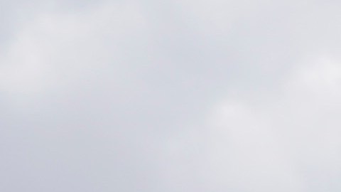 El Amazon Prime Day de 2019 captó la mayor cantidad de suscriptores en la historia de la compañía.