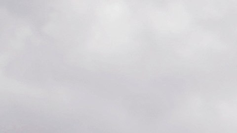 Alta expectativa por saber si el Amazon Prime Day 2020 tendrá éxito en medio de la pandemia.