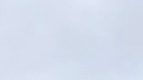 Costco brinda una variedad de precios especiales.