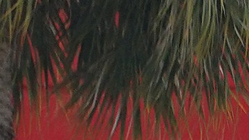 Los ‘Deal Days’ de Target emergen como una competencia directa de Amazon.