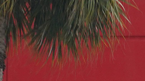 Los ‘Deal Days’ de Target emergen como una competencia directa de Amazon.