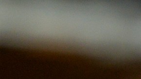 **’Holiday Dash’ es la nueva campaña de Amazon para el fin de año.