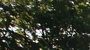 La versión F-250 de 2008 ha sido una de las peores de este serial.