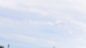 La F-150 es la camioneta más vendida de todos los tiempos.